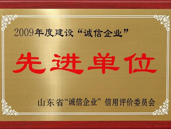 公司荣誉
