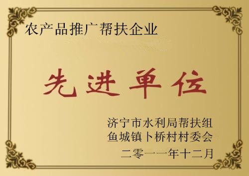 公司荣誉