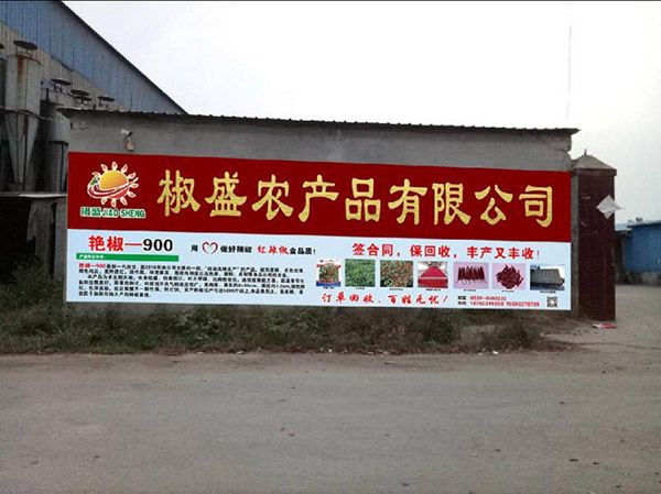 厂区风貌