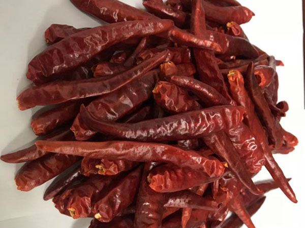 山东烘干辣椒