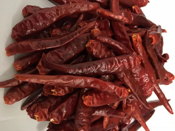 山东烘干辣椒