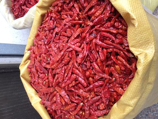 山东烘干辣椒基地