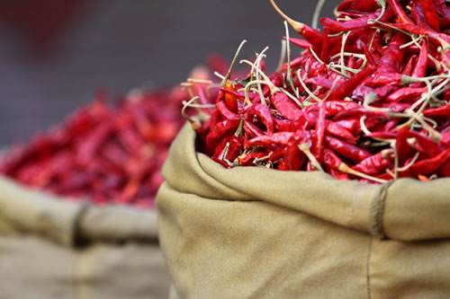 干辣椒批发
